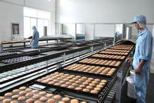 食品網(wǎng)帶輸送機中POM網(wǎng)帶的應(yīng)用