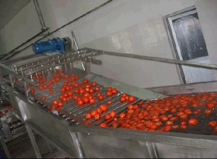 分揀輸送機(jī)輸送果蔬原理解析